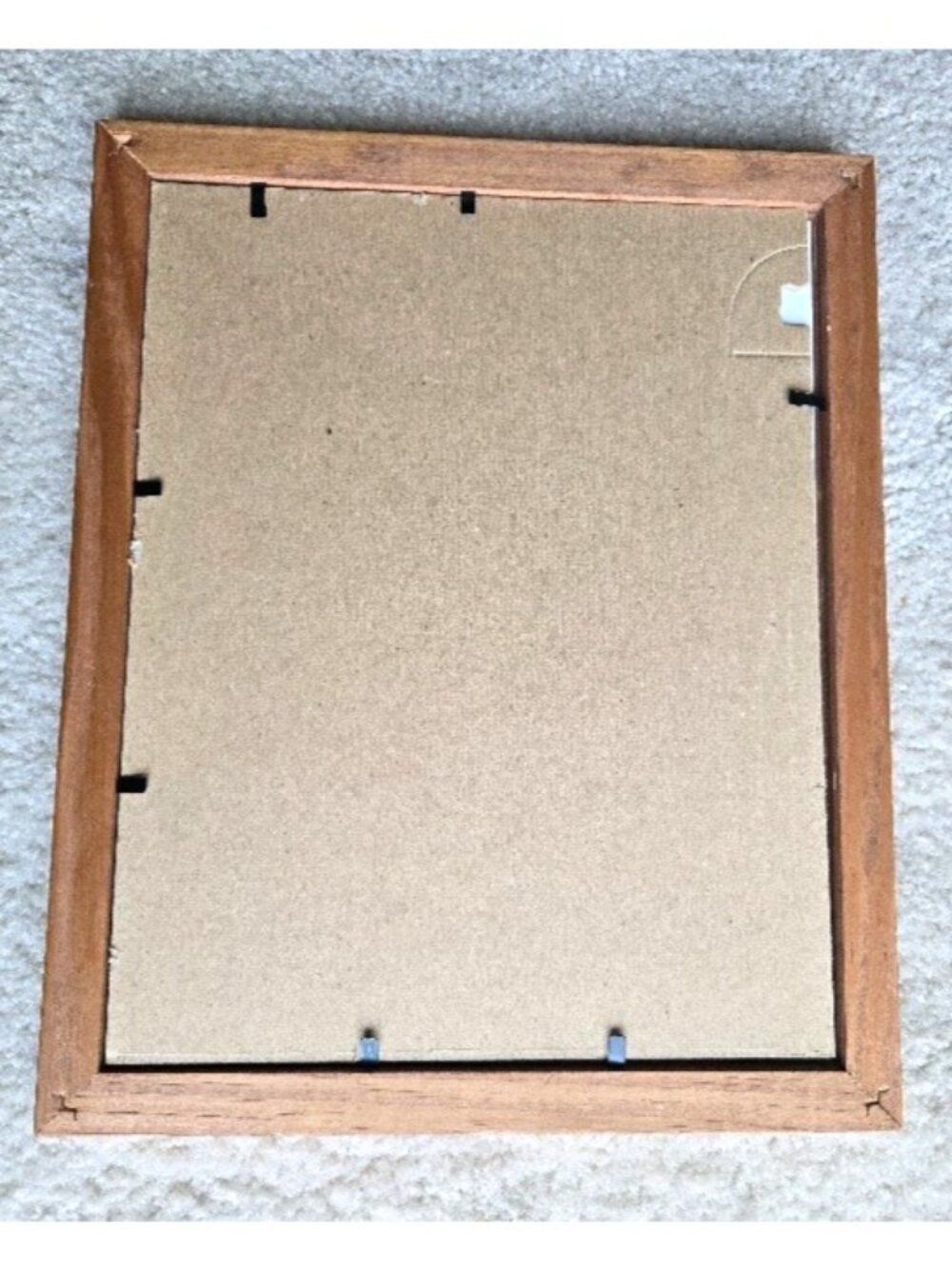 1992"Lone Wolf Shield" Spirit Print Danielle Auclair Shier in Wood w/Glass Frame - Picture 2 of 5
